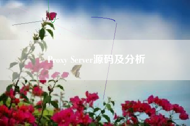 Proxy Server源码及分析