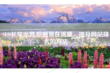 SEO长尾运营,挖掘潜在流量，提升网站排名的方法