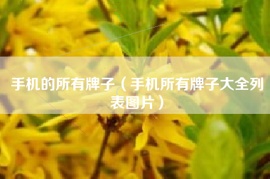 手机的所有牌子（手机所有牌子大全列表图片）