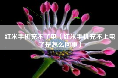 红米手机充不了电（红米手机充不上电了是怎么回事）