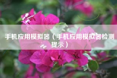 手机应用模拟器（手机应用模拟器检测提示）