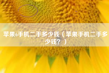 苹果6手机二手多少钱（苹果手机二手多少钱？）