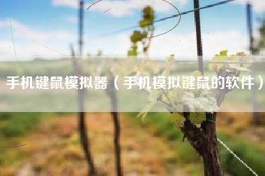 手机键鼠模拟器（手机模拟键鼠的软件）