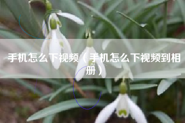 手机怎么下视频（手机怎么下视频到相册）
