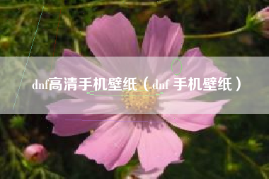dnf高清手机壁纸（dnf 手机壁纸）
