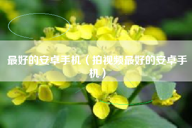 最好的安卓手机（拍视频最好的安卓手机）