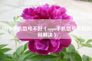 OPPO手机信号不好（oppo手机信号不好如何解决）