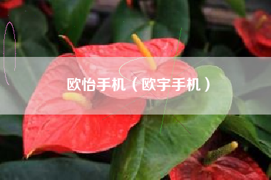 欧怡手机（欧宇手机）