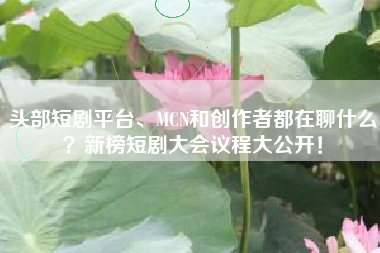 头部短剧平台、MCN和创作者都在聊什么？新榜短剧大会议程大公开！