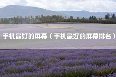 手机最好的屏幕（手机最好的屏幕排名）