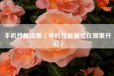 手机性能设置（手机性能模式在哪里开启）