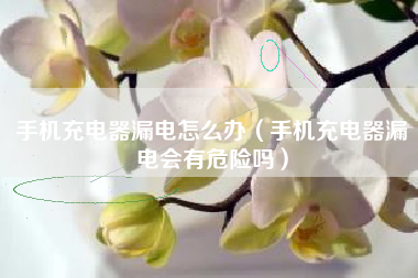手机充电器漏电怎么办（手机充电器漏电会有危险吗）