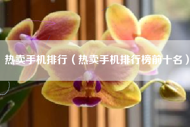 热卖手机排行（热卖手机排行榜前十名）