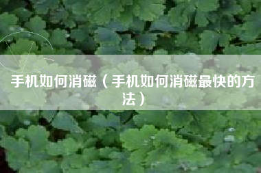 手机如何消磁（手机如何消磁最快的方法）