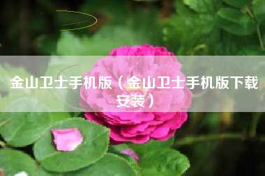 金山卫士手机版（金山卫士手机版下载安装）
