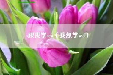 s跟我学seo（我想学seo）