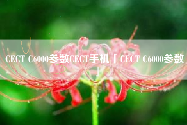CECT C6000参数CECT手机「CECT C6000参数」 CECT C6000参数CECT手机「CECT C6000参数」