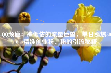 QQ频道：被低估的流量巨兽，单日引爆500+精准创业粉、粉的引流秘籍
