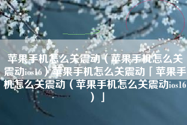苹果手机怎么关震动（苹果手机怎么关震动ios16）苹果手机怎么关震动「苹果手机怎么关震动（苹果手机怎么关震动ios16）」
