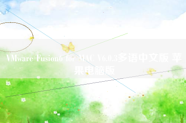 VMware Fusion6 for MAC V6.0.3多语中文版 苹果电脑版